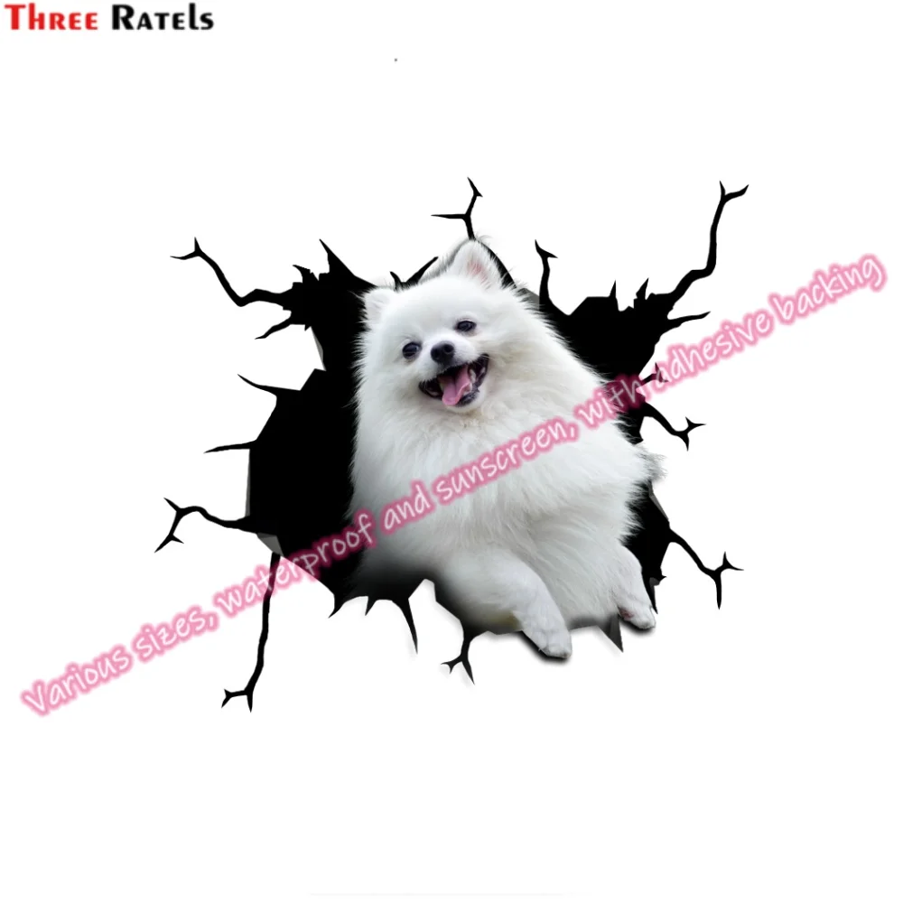 Three Ratels LD-0230 Personalised Car Stickers For Jeep Window Sticker Vinyl Car Decals Truck Accessories Auto Accessory