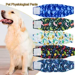 Washable Physiological Pants for Male Dog, Belly Band Fastener Tape, Adjustable Breathable for Training Incontinence