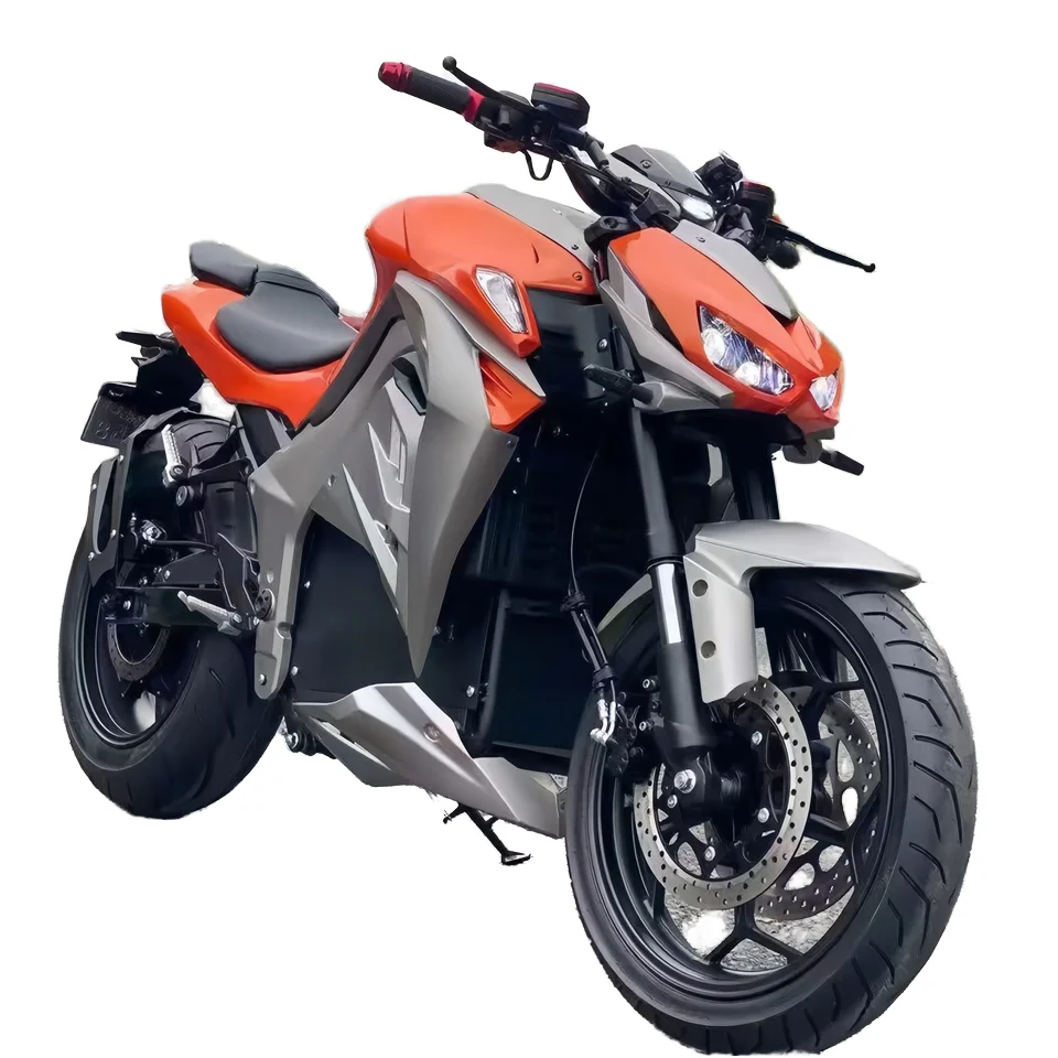 

STLFEEC Manufacturer Wholesale Fastest High Speed 2 Wheels Adult Electric Motorcycle