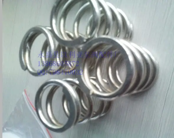 2PCS   Special spring, metering pump accessories GM0240 GM0170 GM0500 GM0330