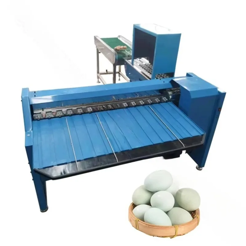 Customizable Small Grader Machine Philippines Egg Processing Machinery