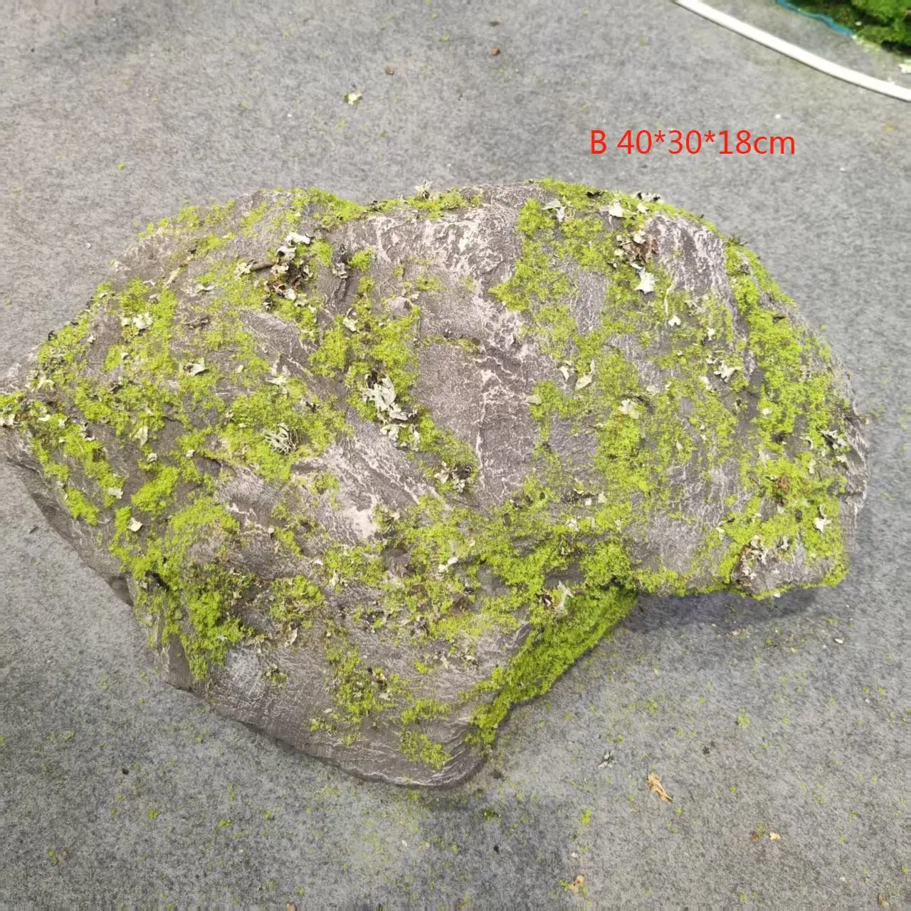 المناظر الطبيعية حجر الطحلب الجنينة حجر بو رغوة الطحلب حجر حديقة الفندق #3