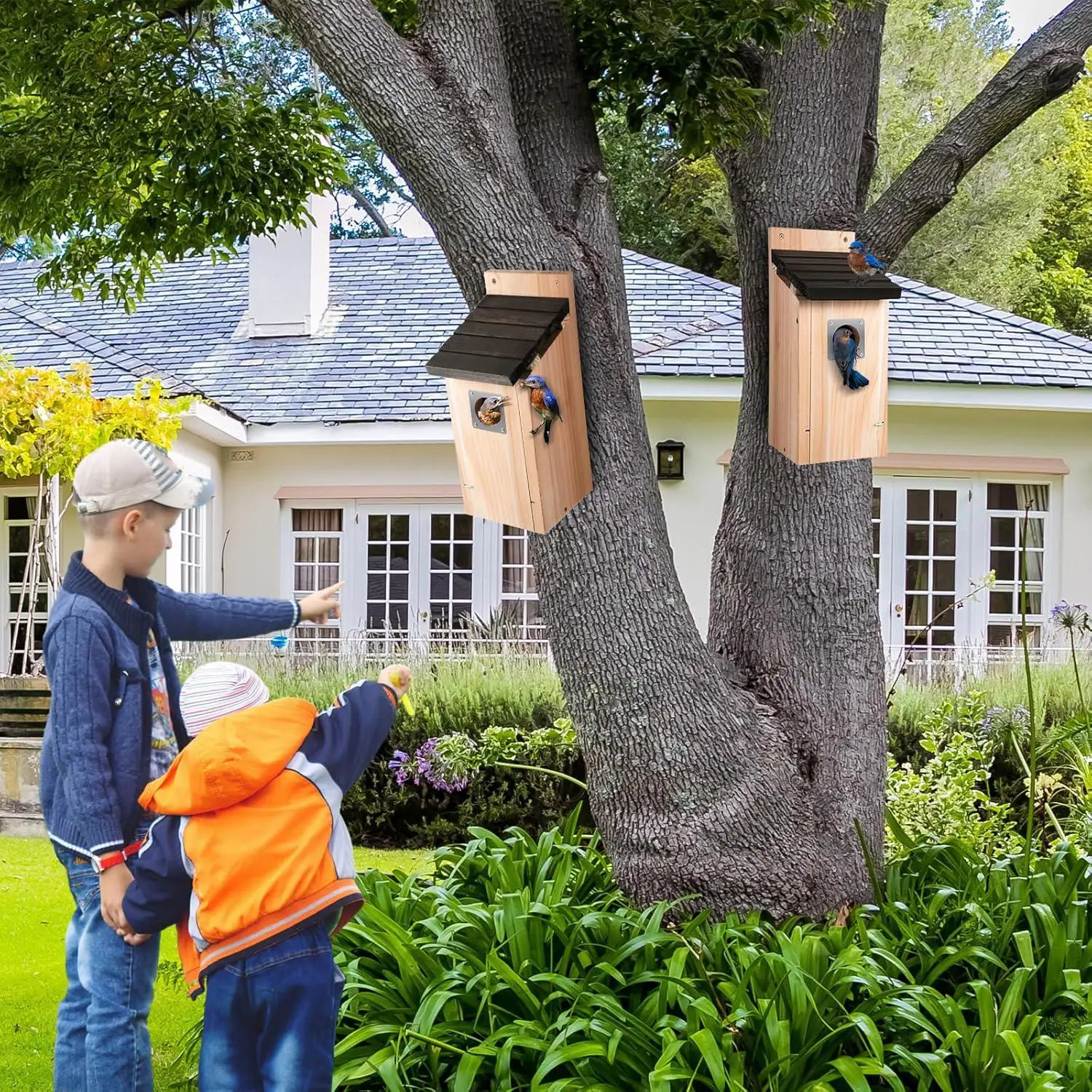 Bird Nest Natural W… - image