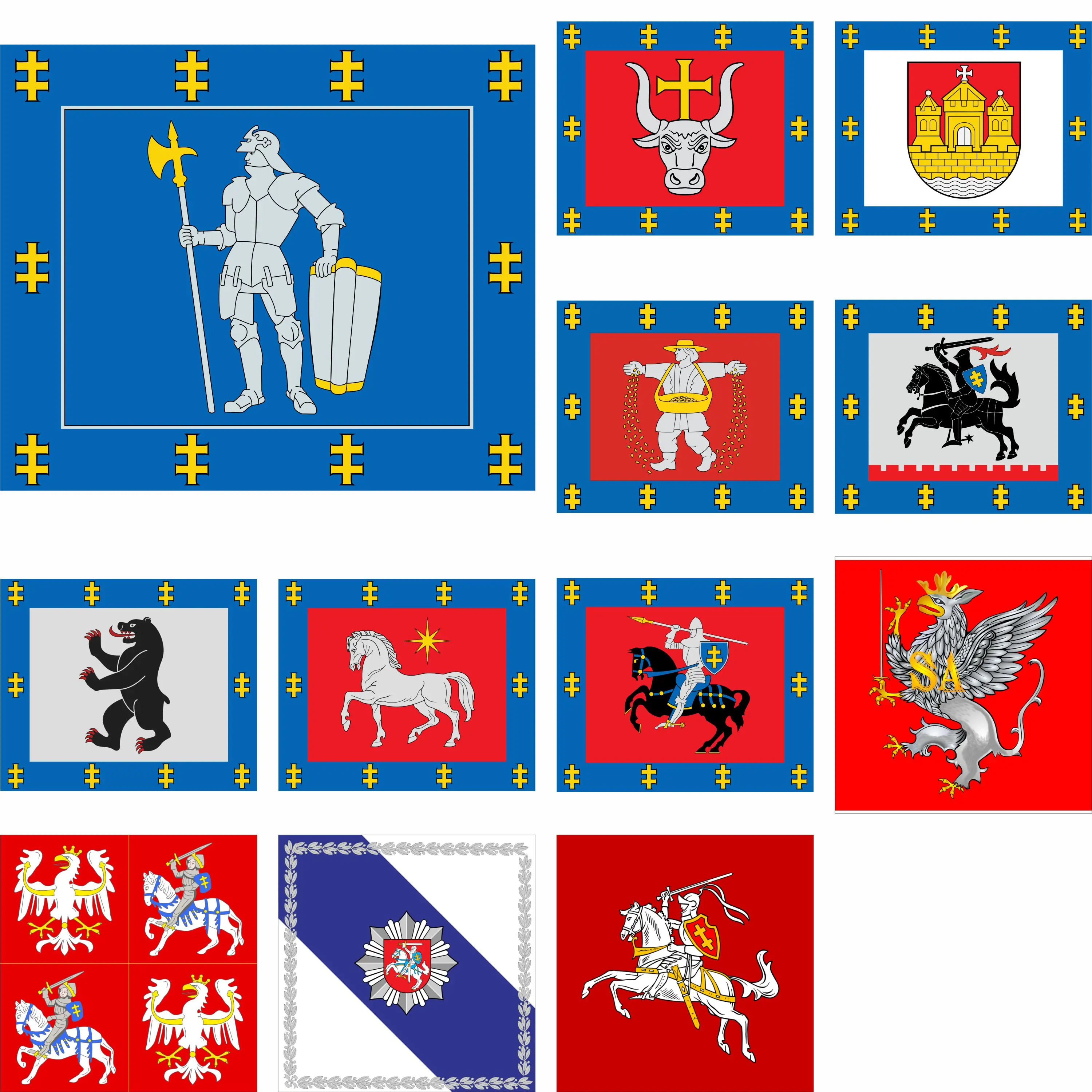 

Lithuania Alytus County flag Kaunas or Klaipėda Marijampolė banner 100D Polyester 120x100cm or 120x120cm Double sided printing