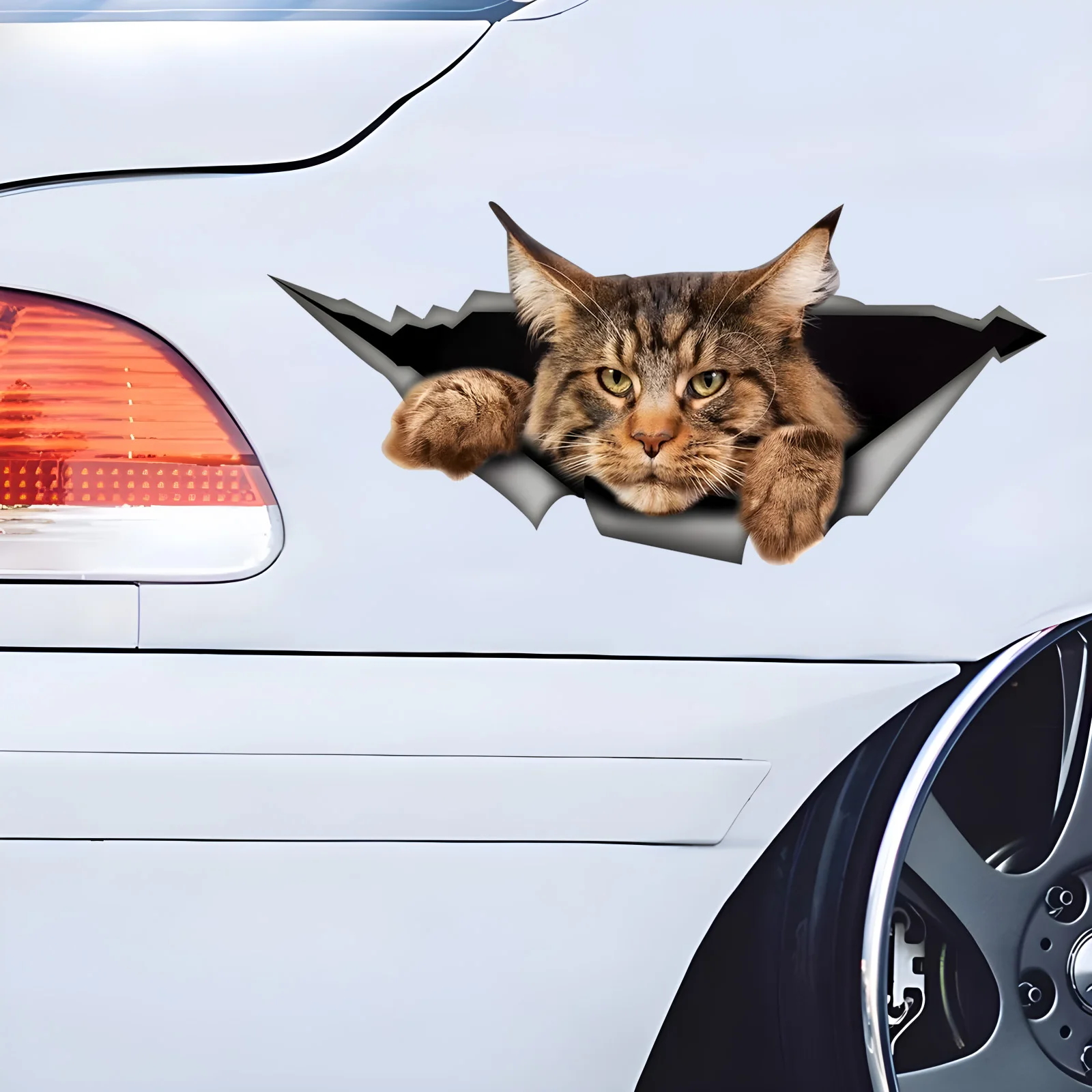 

DK430# Maine Coon 3D Vinyl Car Sticker, Fun Waterproof Sticker for Cars, Trucks, Motorcycles, Walls, Windows, PVC Material