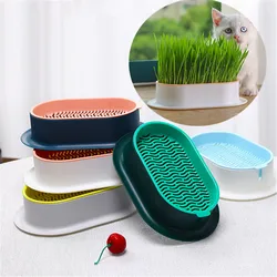 1pc Cat Grass Hydroponic Box: Creative Pots for Super Beautiful Indoor/Outdoor Home Decor Garden Patio