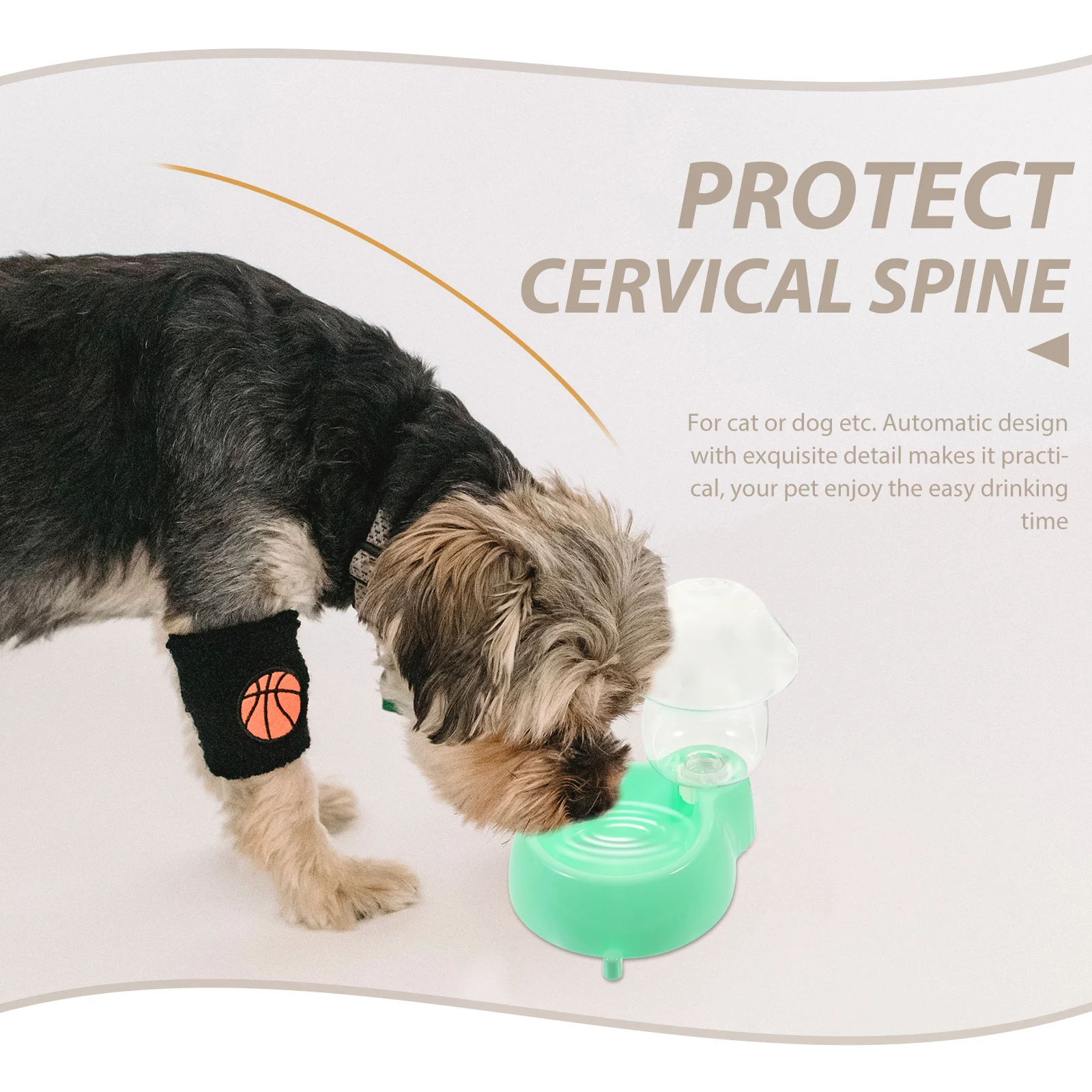 

Practical Pet Water Dispenser Transparent Large Capacity Dog Cat Fountain Bowl Plastic Automatic Feeder Portable Easy Clean