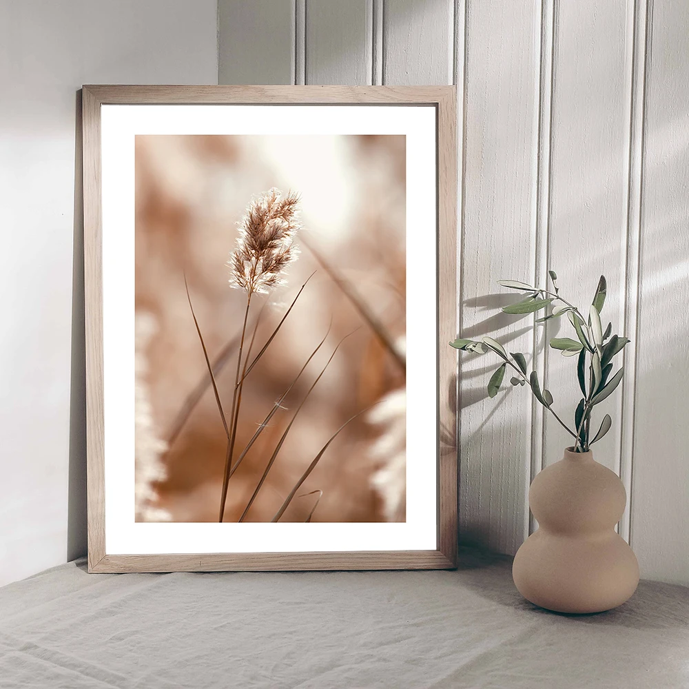 Beige Petals Reed Posters And Prints Dry Alium Wall Art Canvas Painting Nordic White Dahlia Wall Picture Living Room Decor