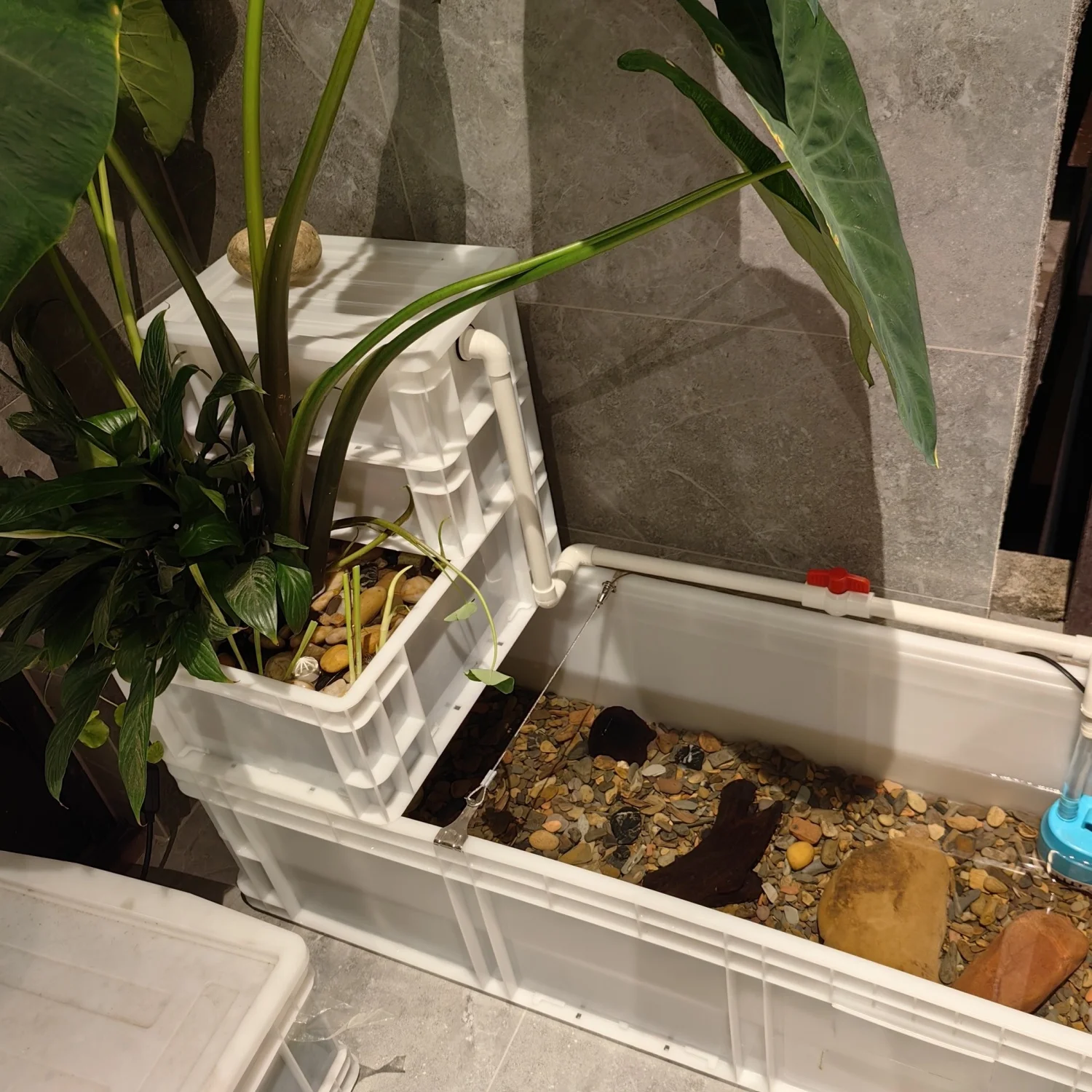 Large Filter Eco Tank Turtle Aquarium Sump Pond Plastic Fish Tank Home Use Water Circulation Box No Need to Change Water