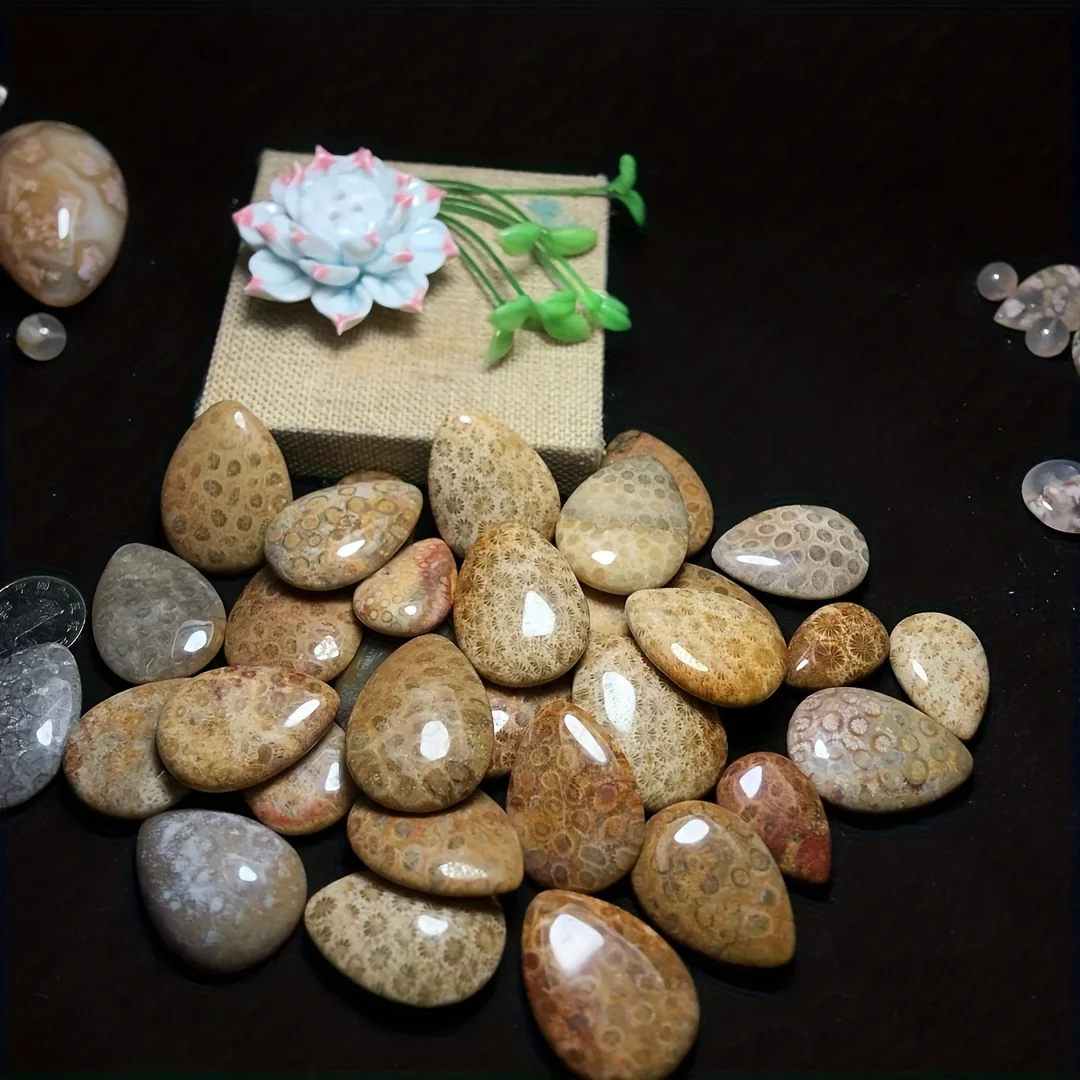 1 قطعة قلادة على شكل دمعة من حجر المرجان الطبيعي المصنوع يدويًا-أحجار كريمة بيضاوية ناعمة مصقولة بوهيمية، مجوهرات جوهرة ميلاد أكتوبر #5