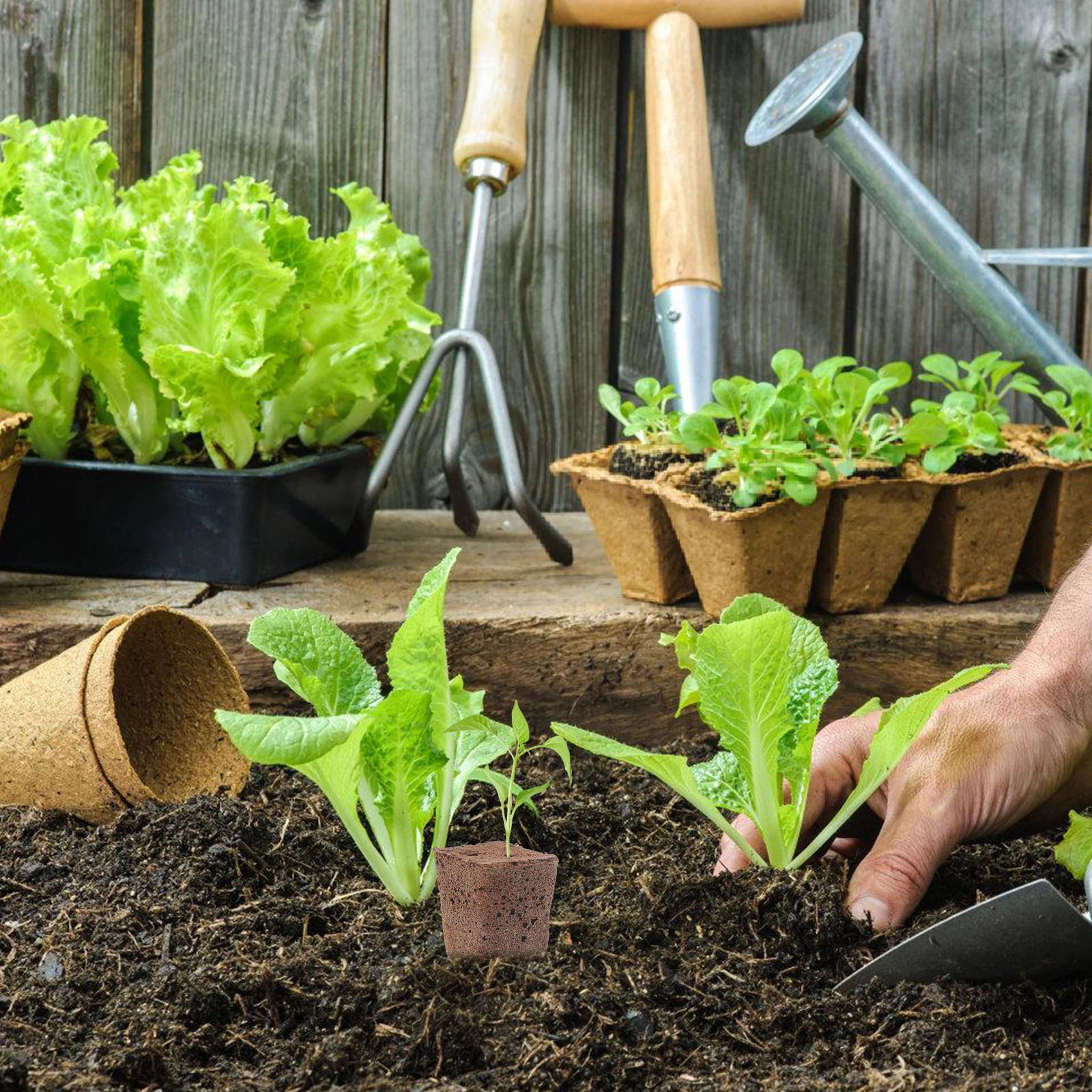 

40pcs Seedling Blocks For Soilless Cultivation Garden Grow Cubes Starter Plugs Nutrient-Rich Biodegradable Plant Transplanting