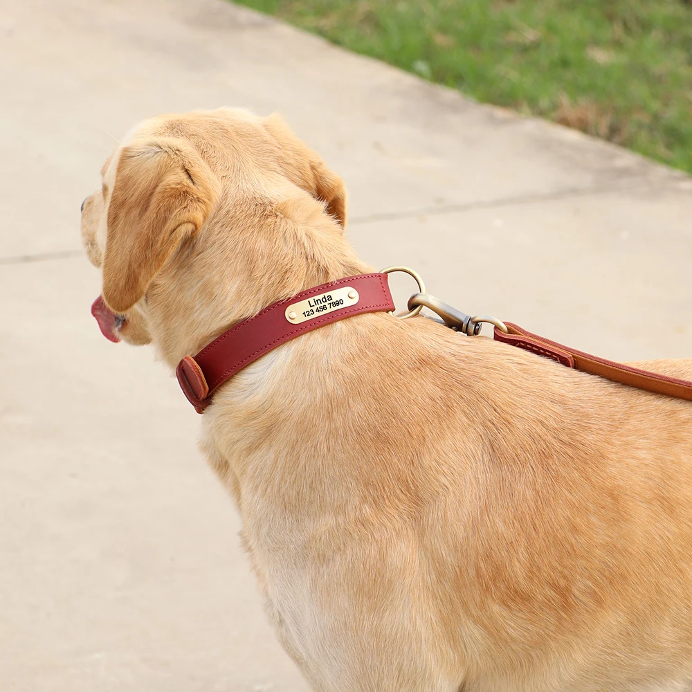 Personalisierte Hundehalsband-Leine aus echtem Leder, langlebige Hundehalsbänder, Gehbleine, Seil, frei mit Gravur für kleine, mittelgroße und große Hunde – Detail 36