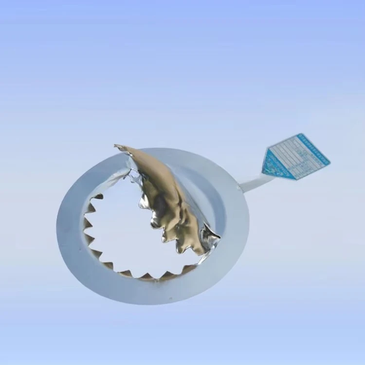 Bracket relief relief valve rupture disc safety valve low temperature rupture disc