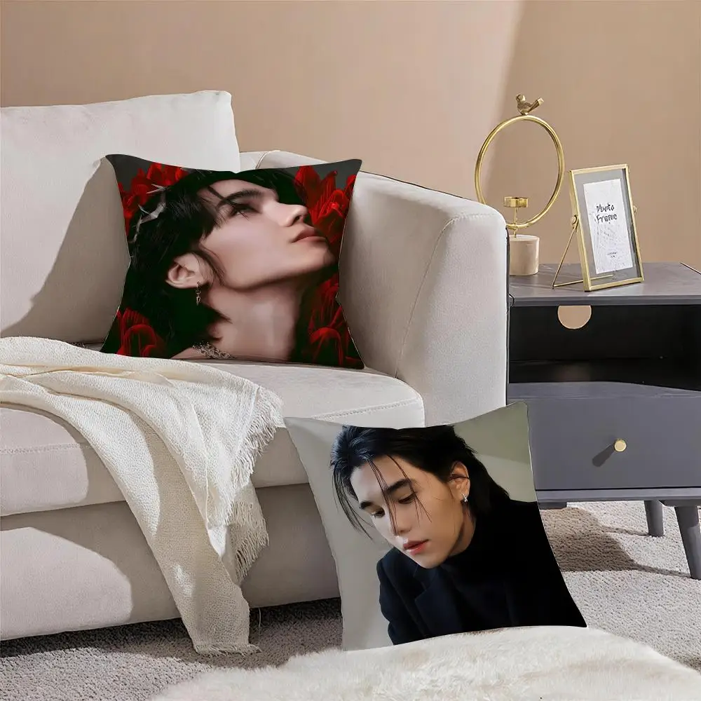 Singer J-Jeff Satur Cushion Cover Throw Pillow Cover Hidden Button Durable Polyester Chair Cushion