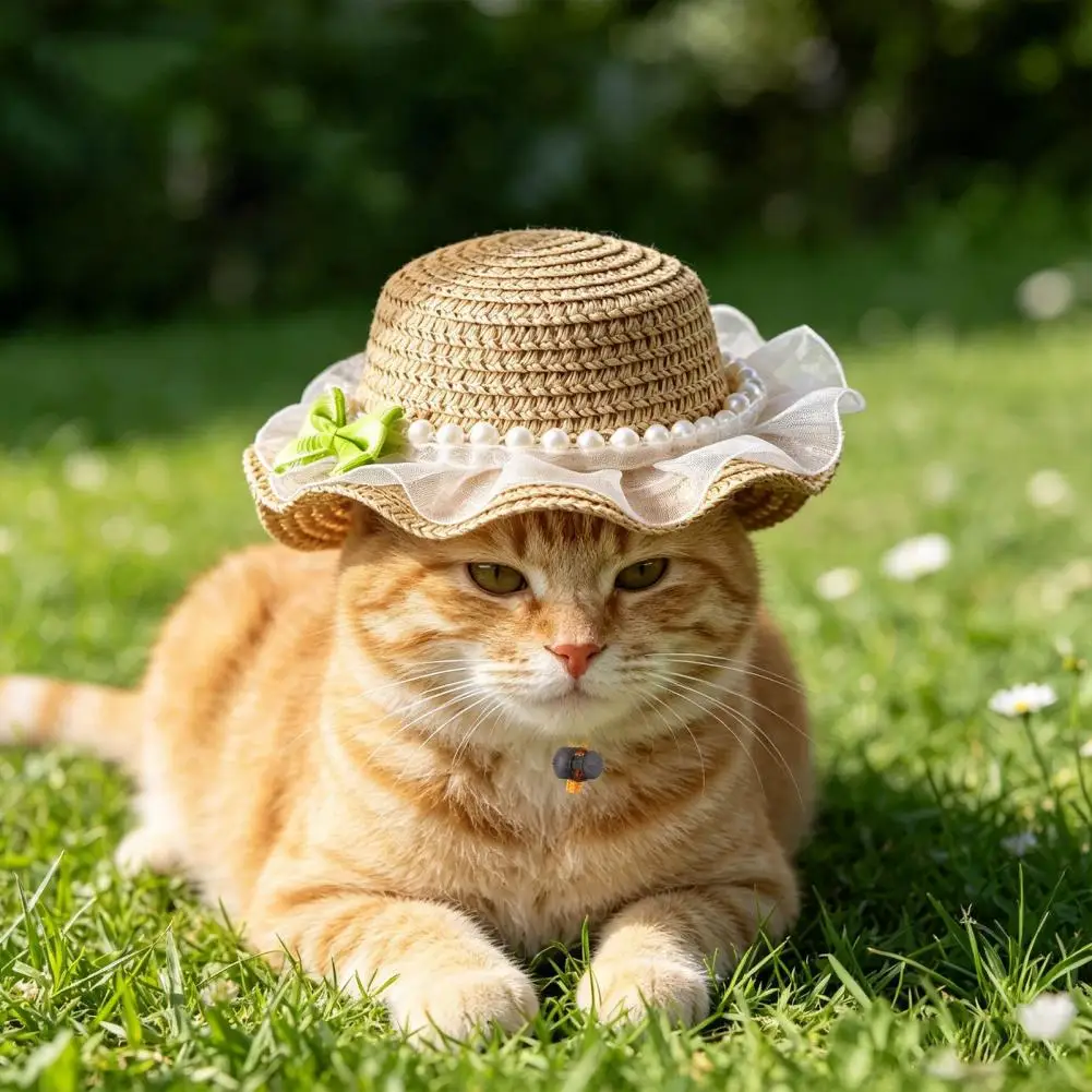 Pet Hat Adjustable Pet Hat Scalloped Lace Pet Straw Hat Summer Sun for Cats Small Dogs Cute Outdoor Travel Camping Accessory