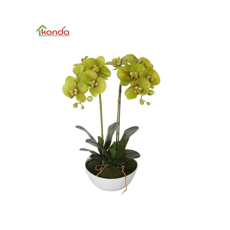 Handmade Latex Artificial Butterfly Orchids for Home Decoration Import From China