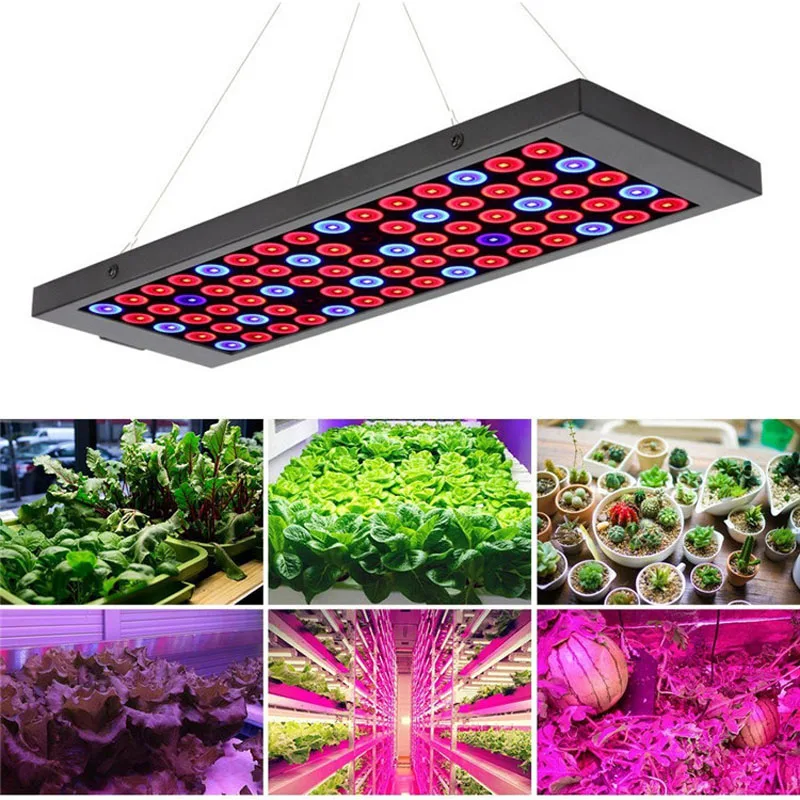 Lampada da coltivazione per piante a LED dimmerabile SMD 75 pezzi 40w per dissipazione del calore ad alta efficienza Lampada di riempimento per serra interna per piante a spettro completo