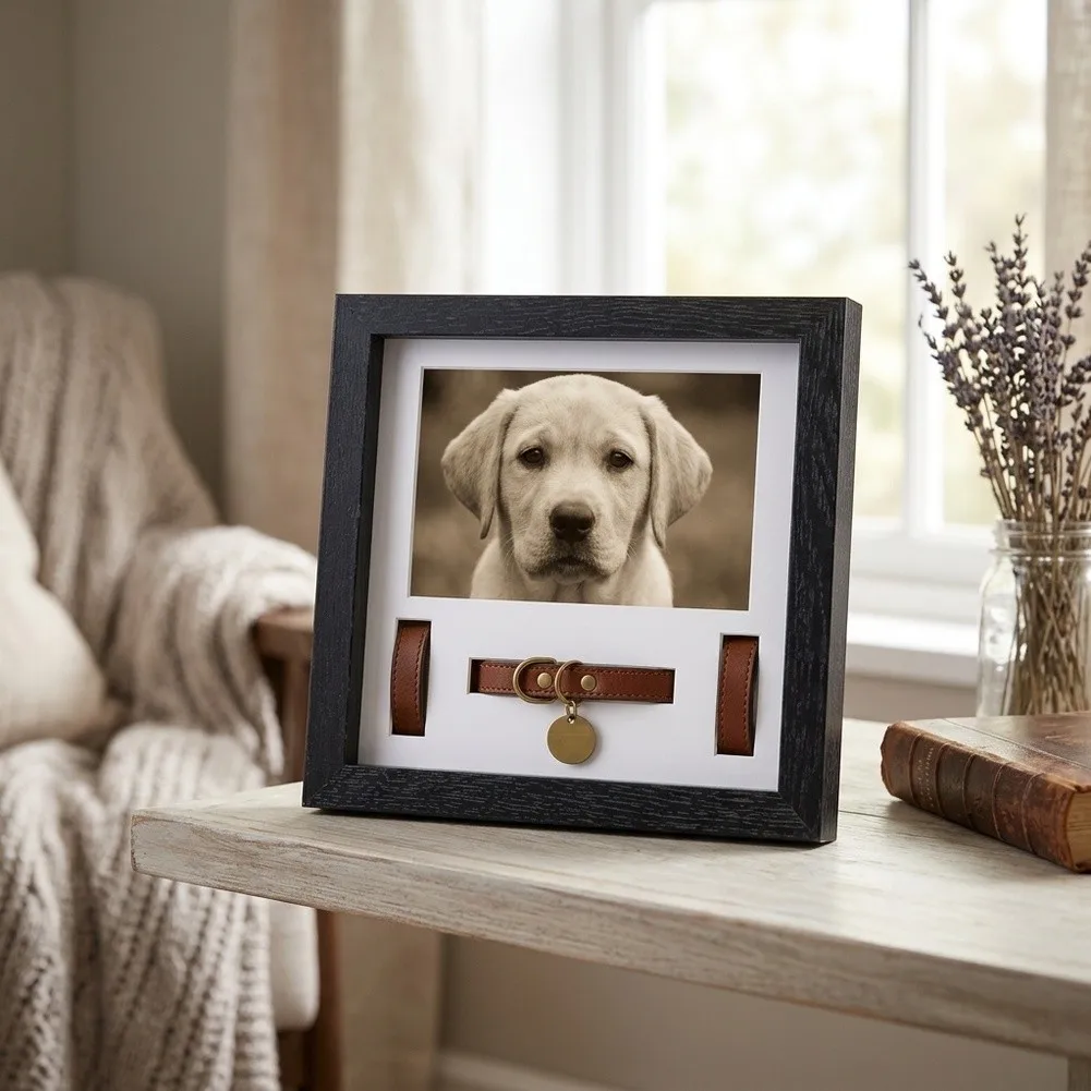 For Pet Loss Grief Pet Memorial Frame Cat Keepsake Box Heartfelt Pet Memorial Frame Pet Memorial Frame Dual Slot Design