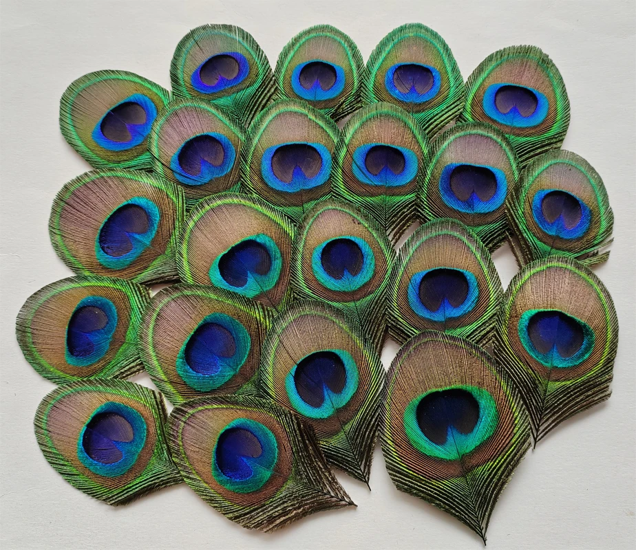Trimmed Peacock Eye Feathers with 4cm Eye,100Pcs Wholesale Plumes for Wedding Invitation Embellishment,Hair Accessories,Craft