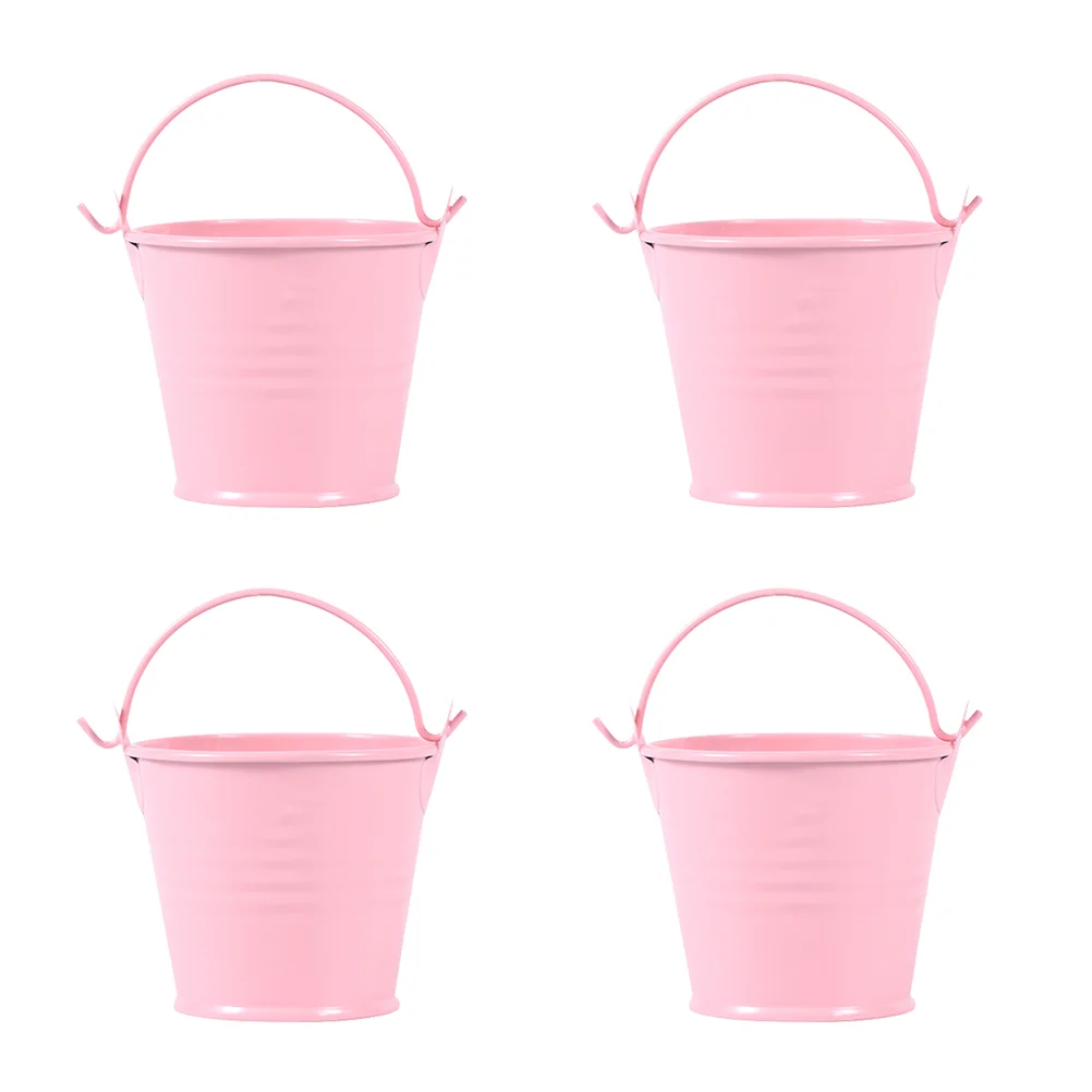 

4 Pcs Mini Bucket Succulent Planters Metal Succulents Flower Pot Creative Iron Small Child for Home