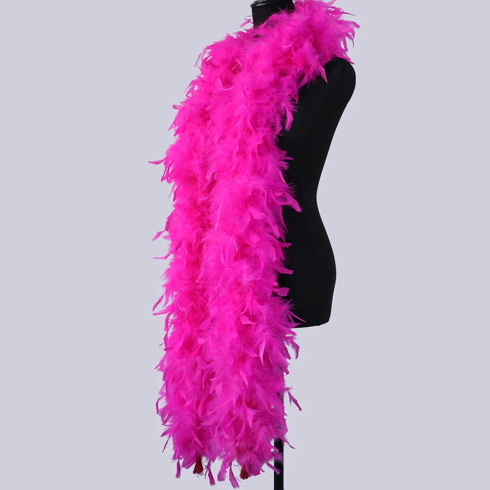 Boa en plumes de dinde de 1,8 m pour fête, Noël, centre de table, costume, concert, animal domestique et décoration de la maison - 60 g, 60 g - Blanc, 36F Boa en plumes de dinde de 1,8 m pour fête, Noël, centre de table, costume, concert, animal domestique et décoration de la maison - 60 g, 60 g - Blanc, 36F