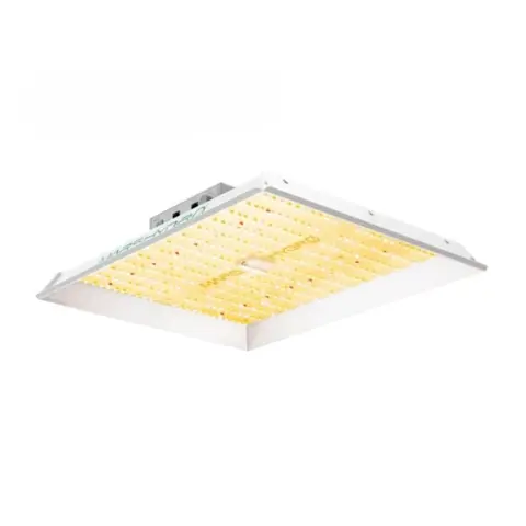 Mars Hydro TS Beginner Series Full Spectrum Tunable Light Emitting Diode Grow Light