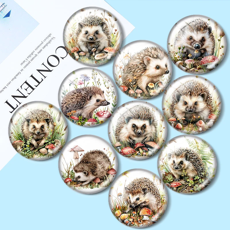 Cute Hedgehog in Nature 10p 12mm/18mm/20mm/25mm Round Photo Glass Cabochon Flat Back Making Findings Jewelry