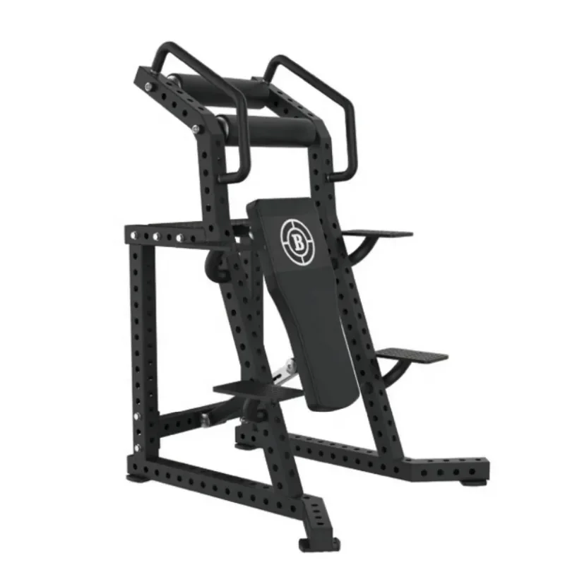 Newly Upgraded Flat-panel Vertical Abs Curl Fitness Equipment In Optional Colors, Stainless Steel
