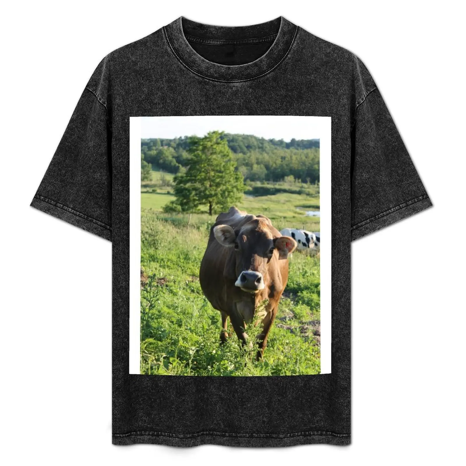 

Коричневая швейцарская футболка Heifer, аниме, пот, тяжелые рубашки для мужчин