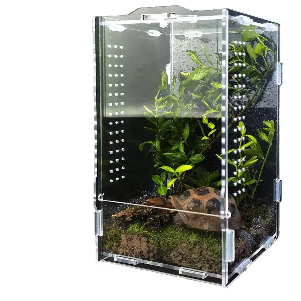 Acrylic crawler box customized transparent feeding box spider rainforest landscaping feeding box crawling pet living decoration