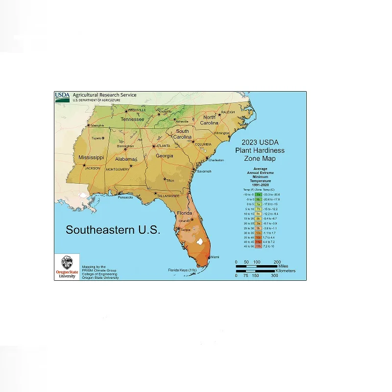 USA South East US Plant Hardiness Zone Map, Art Print Canvas Poster, Living Room Decor, Home Wall Picture