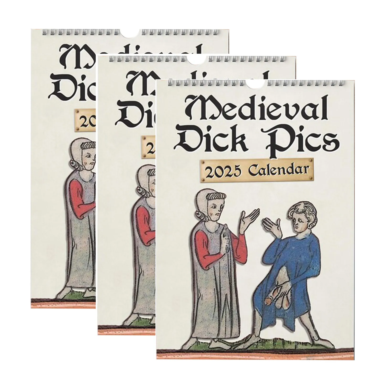 Medieval Dick Pics 2025 Calendar,Funny Rude Calendar Strange Wall Calendar Gag Gifts for History Enthusiasts Prankster