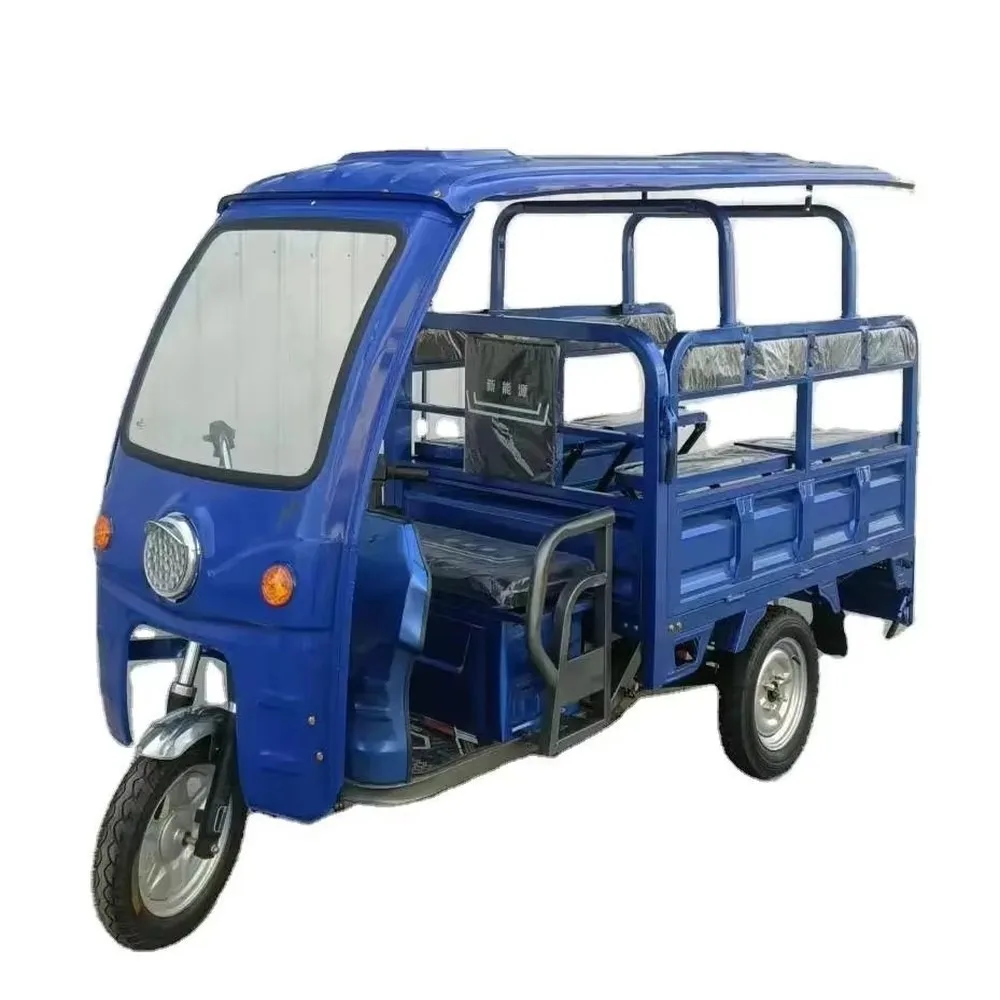 Multifunctional Electric Cargo Tricycle 1000W Motor 3-Wheel Adult Leisure Electric Trike for Cargo & Riding