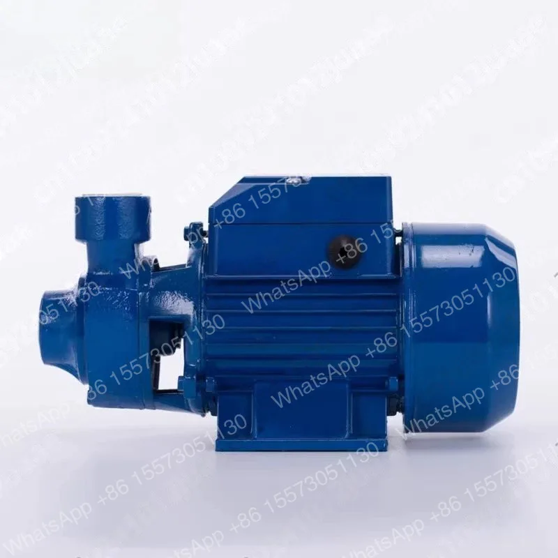 QB60 Water Pump Household 220V 110V Single Phase 1 Inch Small Booster Pump with Copper Motor