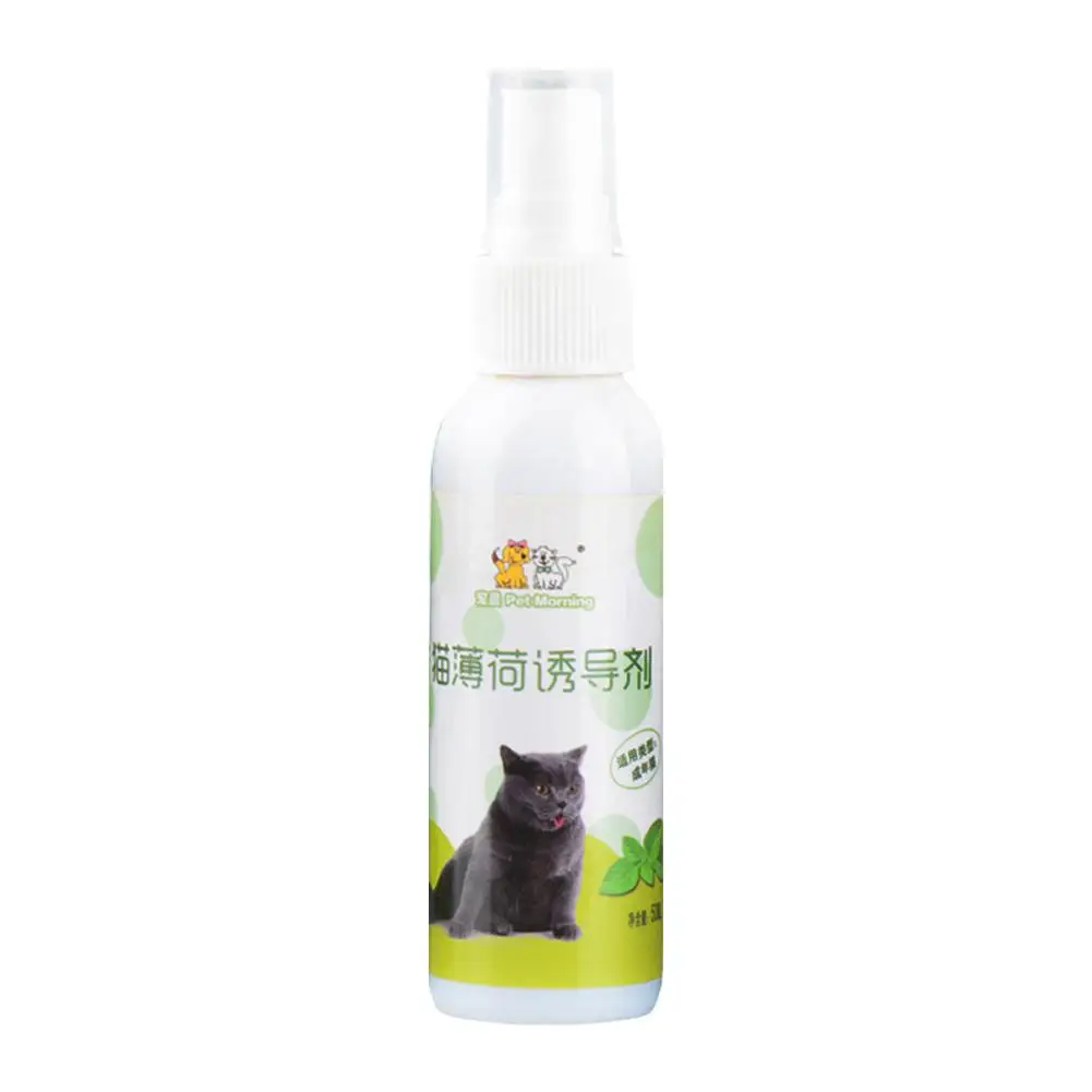 Inducteur à la menthe pour chat, spray à la menthe, spray frais, inducteur respirant, jouet d'entraînement, produits pour chat, sécurité sanitaire naturelle, 50ml, Z4I8