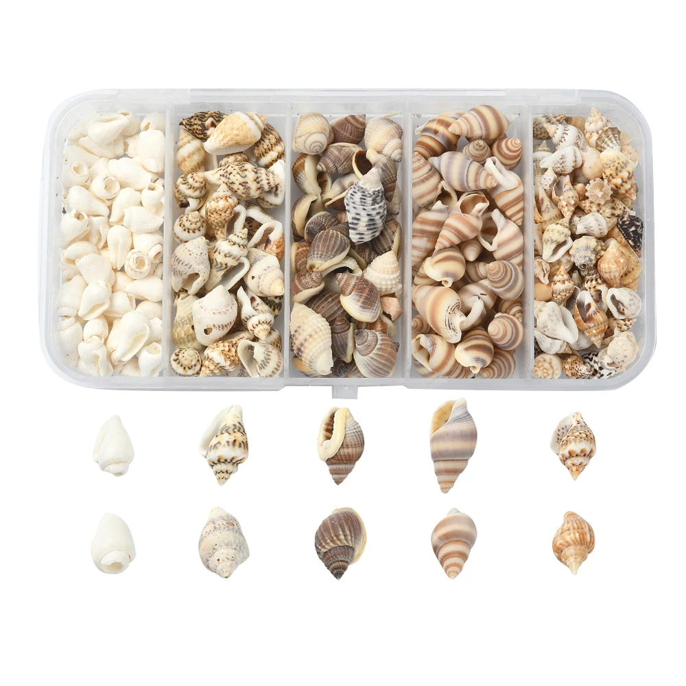 54g/box 5 Styles No Hole Mixed Natural Shell Beads Mixed Shapes for DIY Jewelry Arts and Crafts Accessories