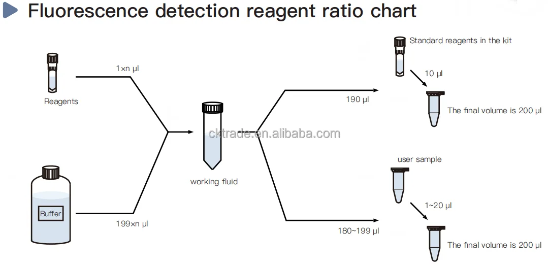 CHINCAN Draagbare FL-200 Dual Channel Fluorometer Fluorescentiedetector Kwantificering voor DNA RNA met 5-inch touchscreen