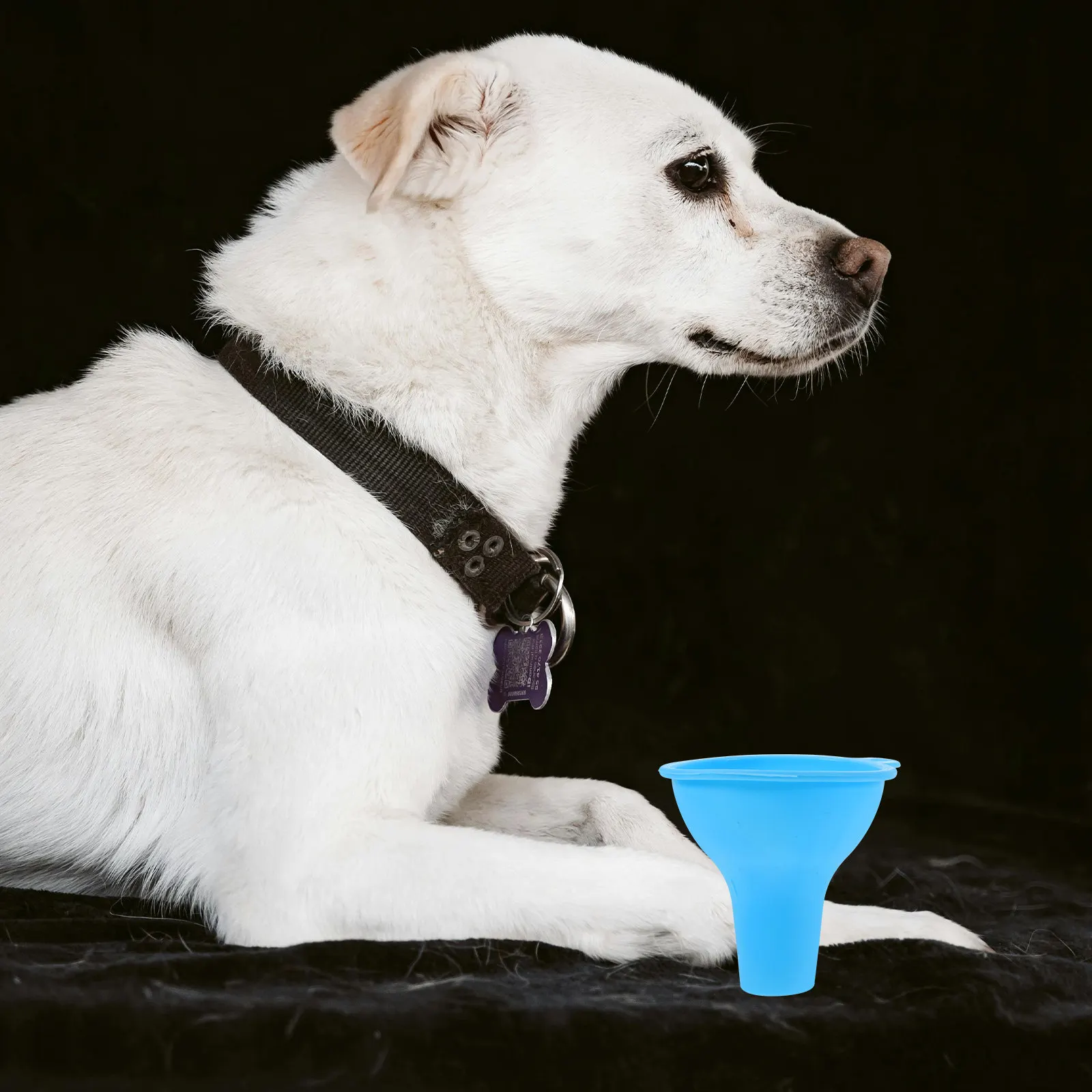 Food Funnel for Dog Practical Safe Wide Mouth Household Bottle Liquid Transfer