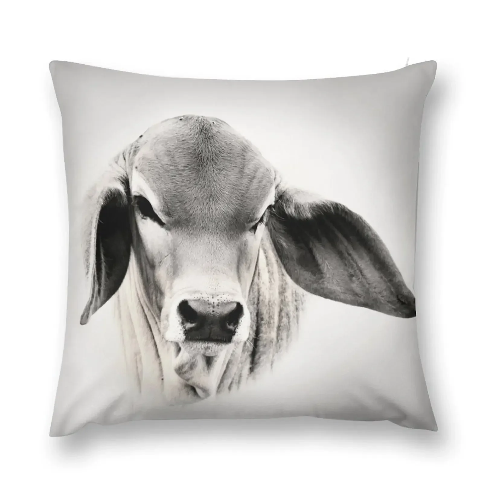 BRAHMAN CALF, WALL ART AND DESIGNS Throw Pillow Pillow Cases christmas decorations for home 2025 autumn decoration pillow