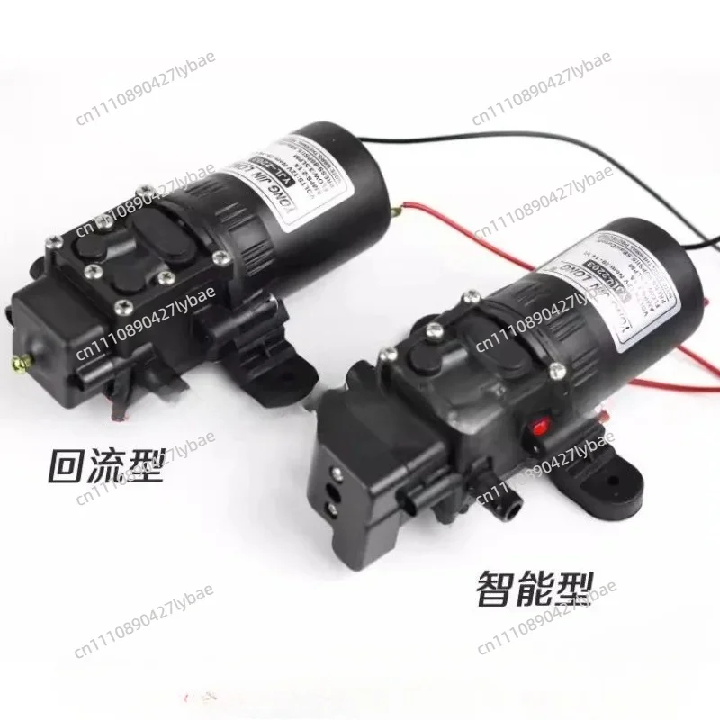 2203 Electric Sprayer Water Pump 12V Diaphragm Pump Knapsack Accessories Return Pump Smart
