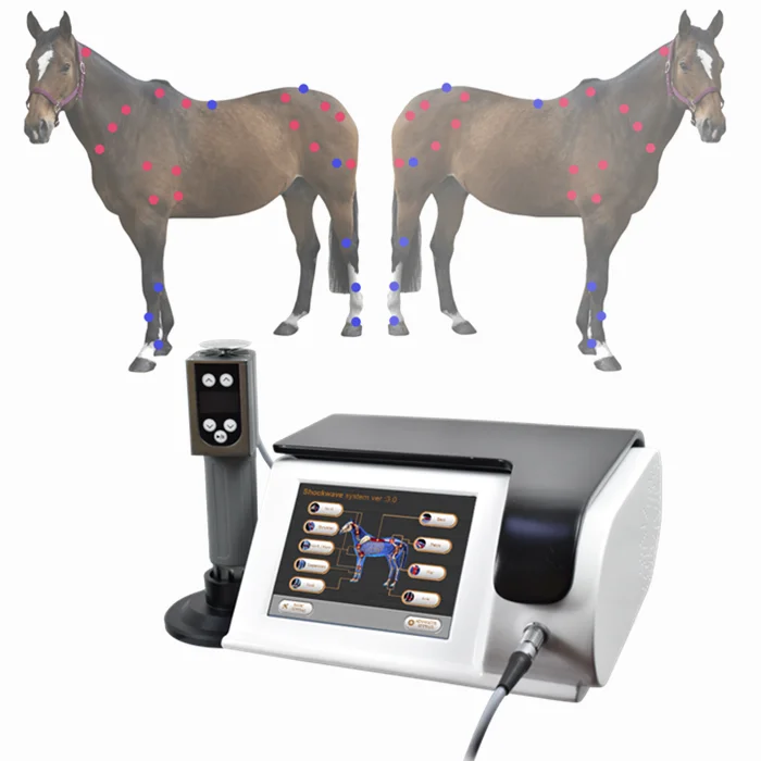 High quality veterinary use portable eswt extracorporal equine shockwave machine for horses and animals