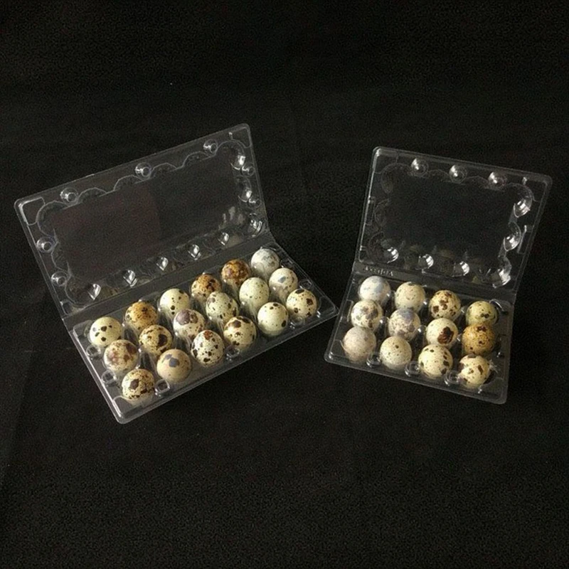 50pcs 12/18/ Hole Quail Egg Trays Thick Compression Resistant Buckle Folding Packaging Boxes Food Grade PET Bird Egg Box