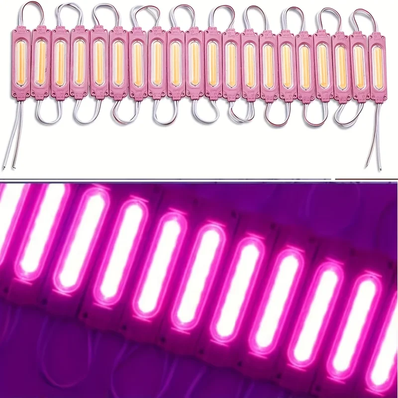 20pcs Injection With lens COB LED Module Waterproof LED Back Light 6led per pcs for sign channel letter DC12V 2W IP68