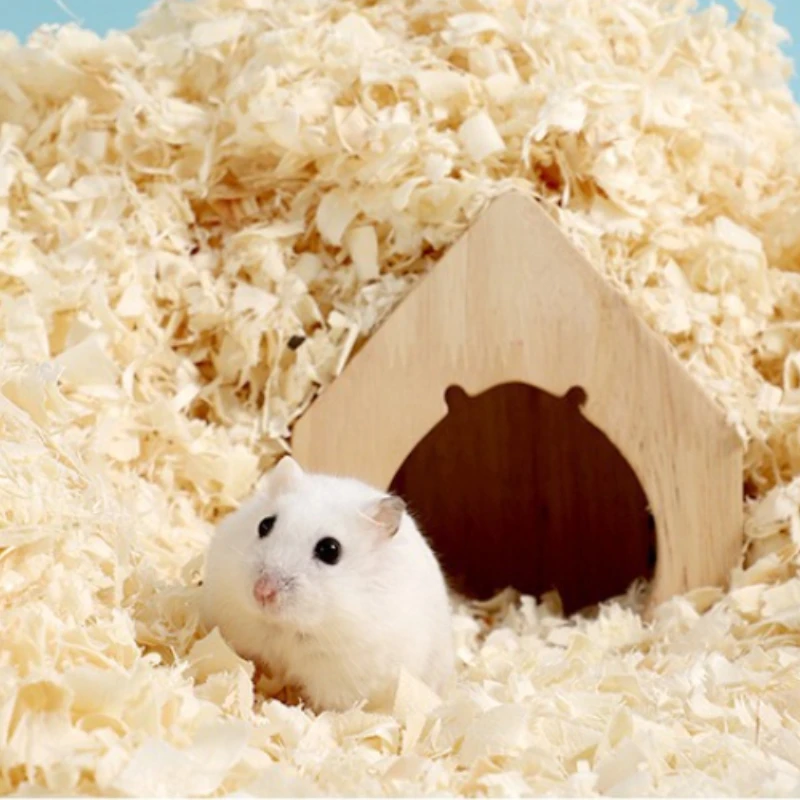 Hamster Rat Mouse W…