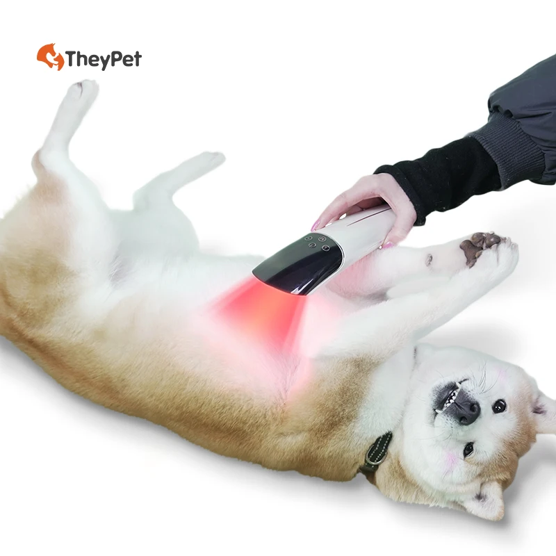 Red Light Therapy Equipment Horse Ankle Tendon Pains Recovery Animal Pain Relief Therapy Device