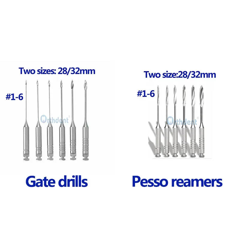 Orthdent 6 Pcs/Box Dental Gates Drills / Endodontic Pesso Reamers 28/32 Mm Assorted Size #1-6 For Endodontic Root Canal