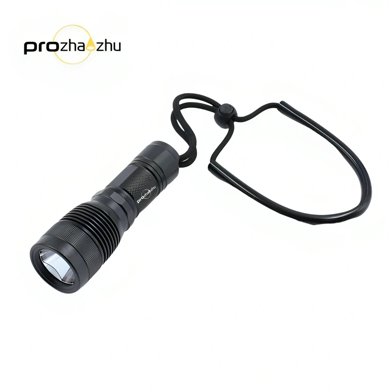 DL-B03 2000 Lumen P… - image