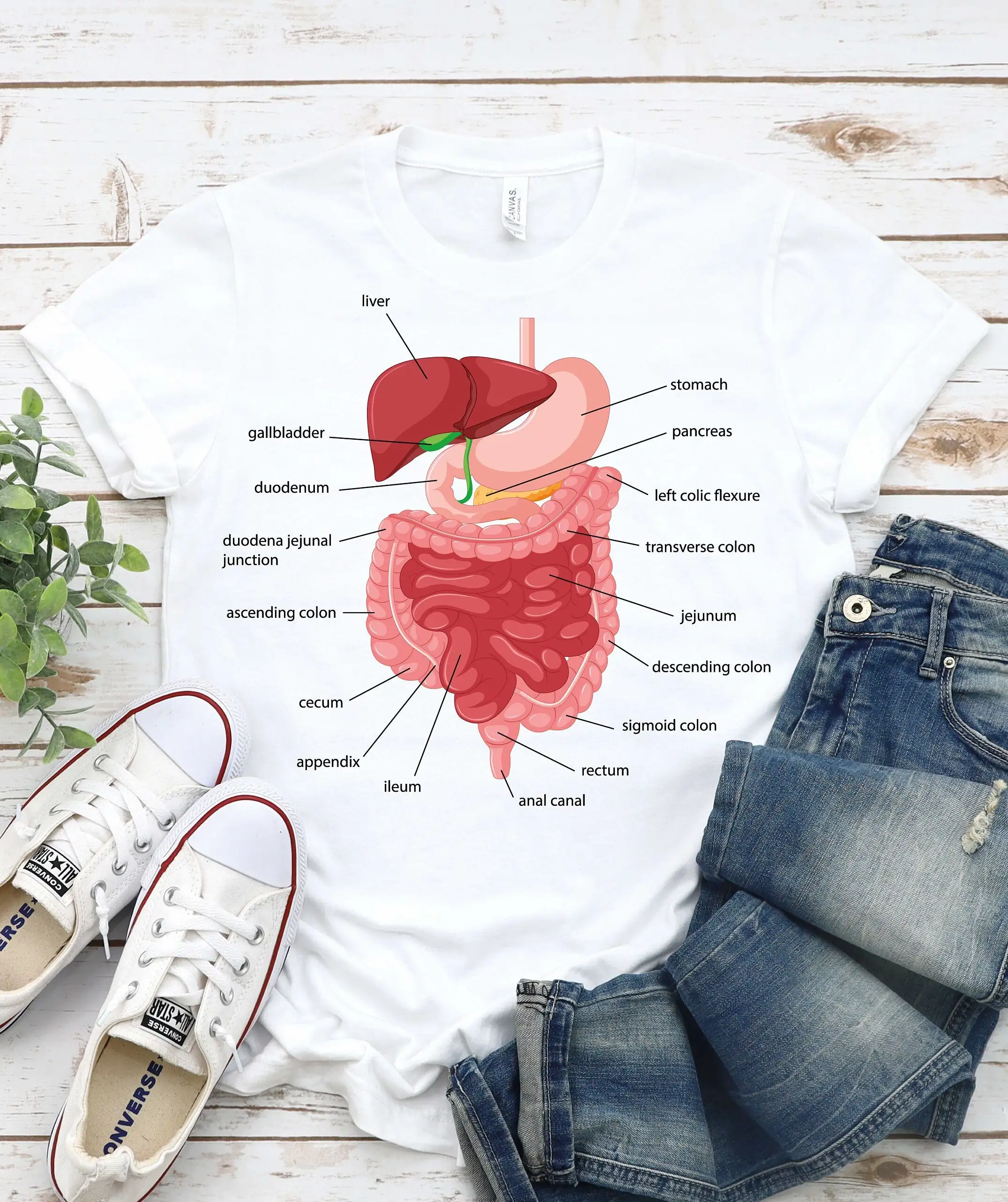 Biology Teacher T Shirt Endoscopy Tech Nurse Human Body Digestive System Gastroenterologist School Science