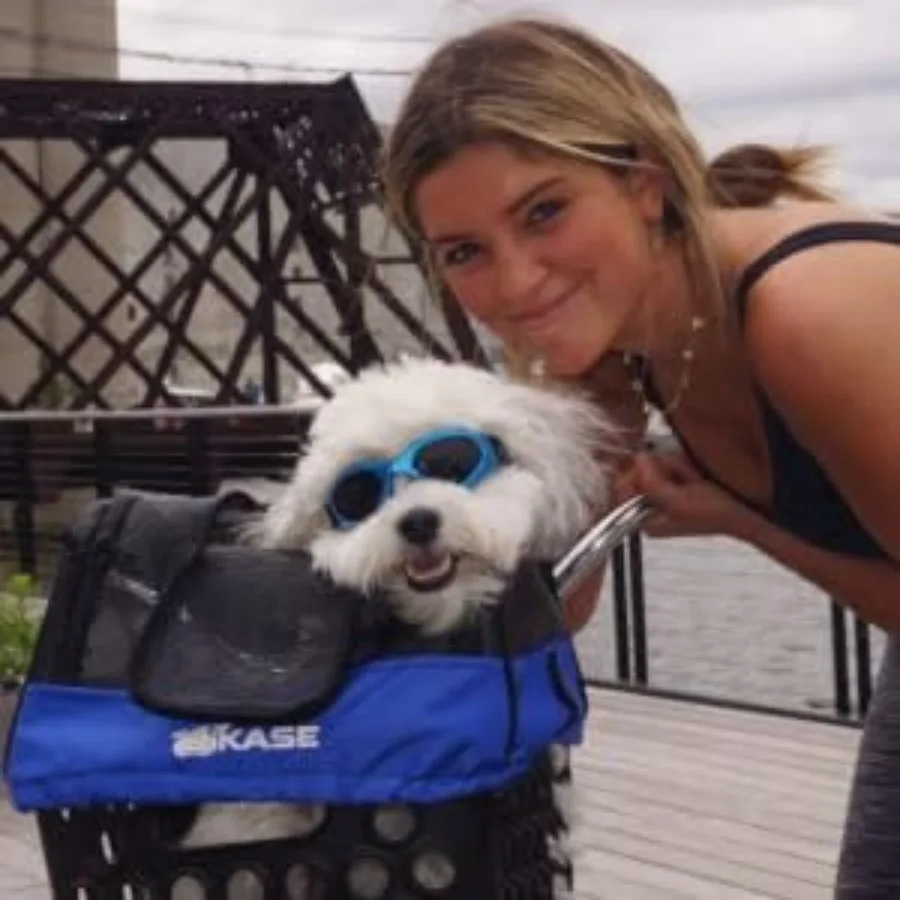 Cestino posteriore Dairyman per un archiviazione sicura e comoda sul retro delle biciclette, ideale per generi alimentari, fare acquisti, pendolarismo e all'aperto