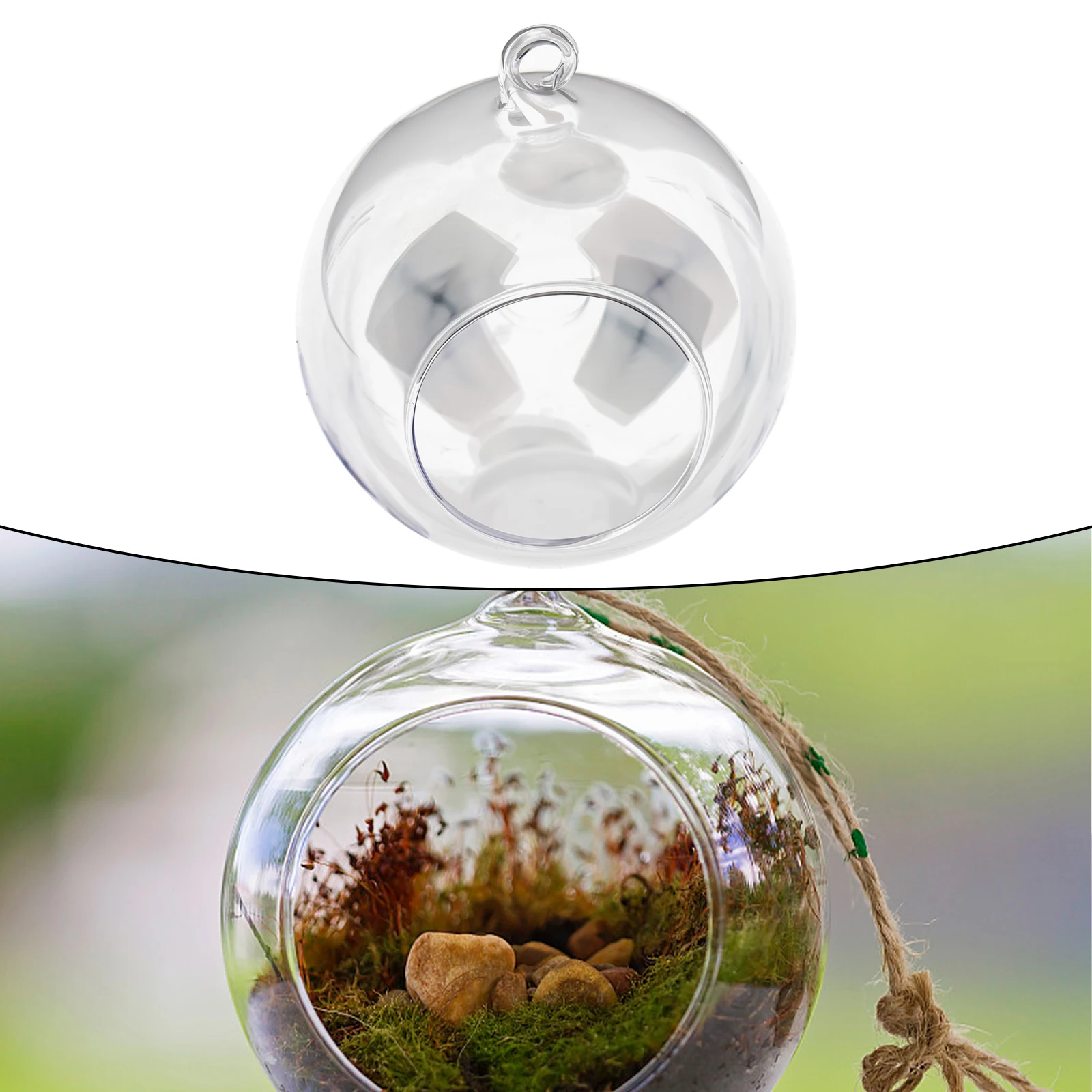 Open-Mouth Glass Ball Vase with Hanging Hole and Level Base for Terrarium Building Succulent Plant Displays Candle Light Decor